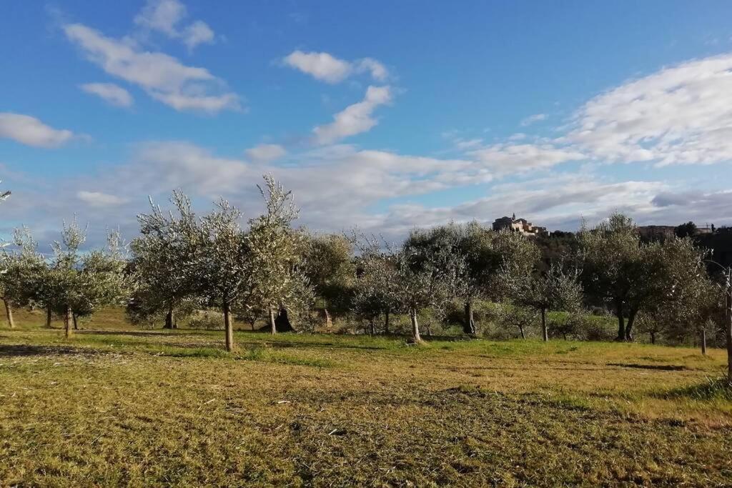 Casa Kikenda, Viaggio Nella Natura Treia Zewnętrze zdjęcie