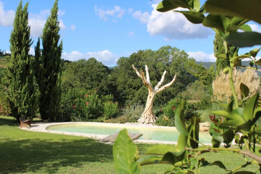 Casa Kikenda, Viaggio Nella Natura Treia Zewnętrze zdjęcie