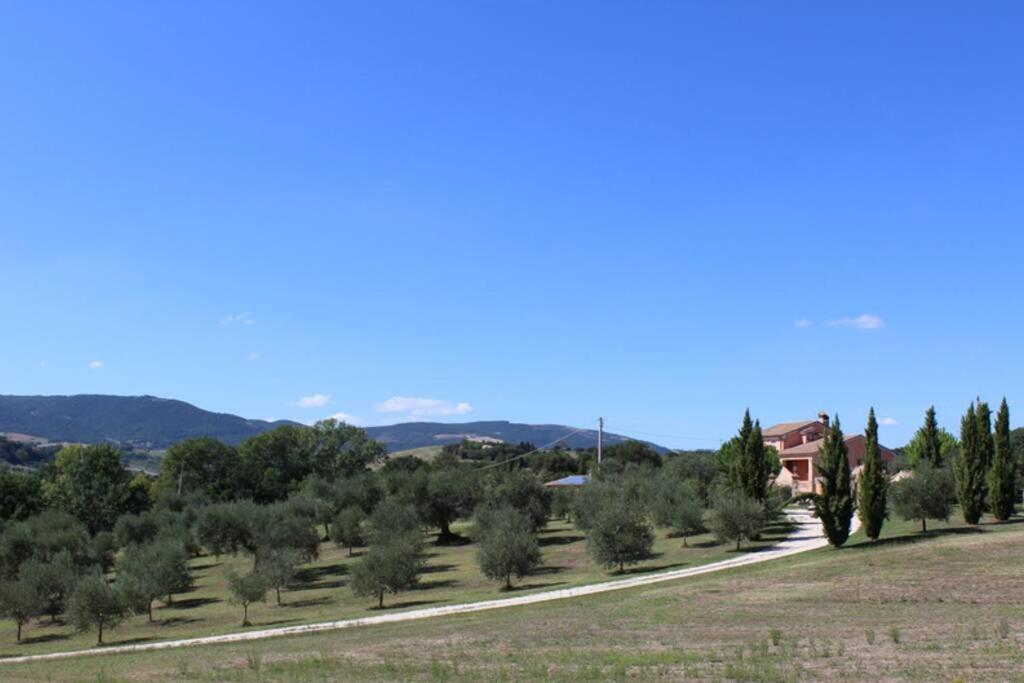 Casa Kikenda, Viaggio Nella Natura Treia Zewnętrze zdjęcie