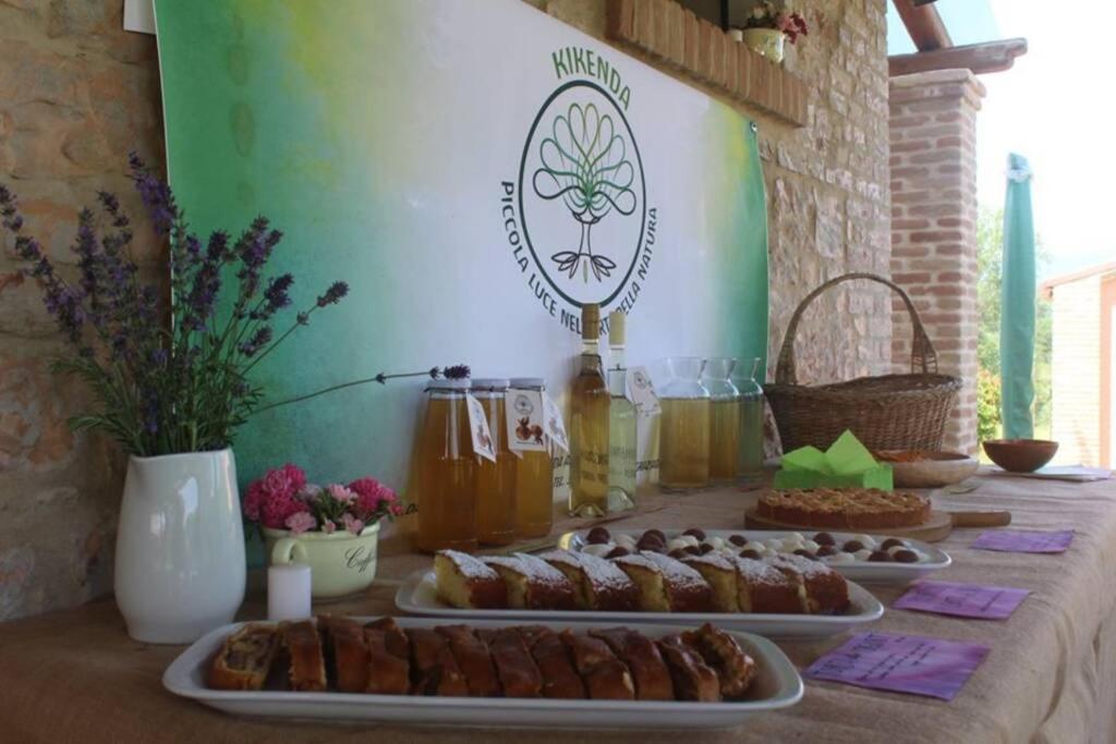 Casa Kikenda, Viaggio Nella Natura Treia Zewnętrze zdjęcie