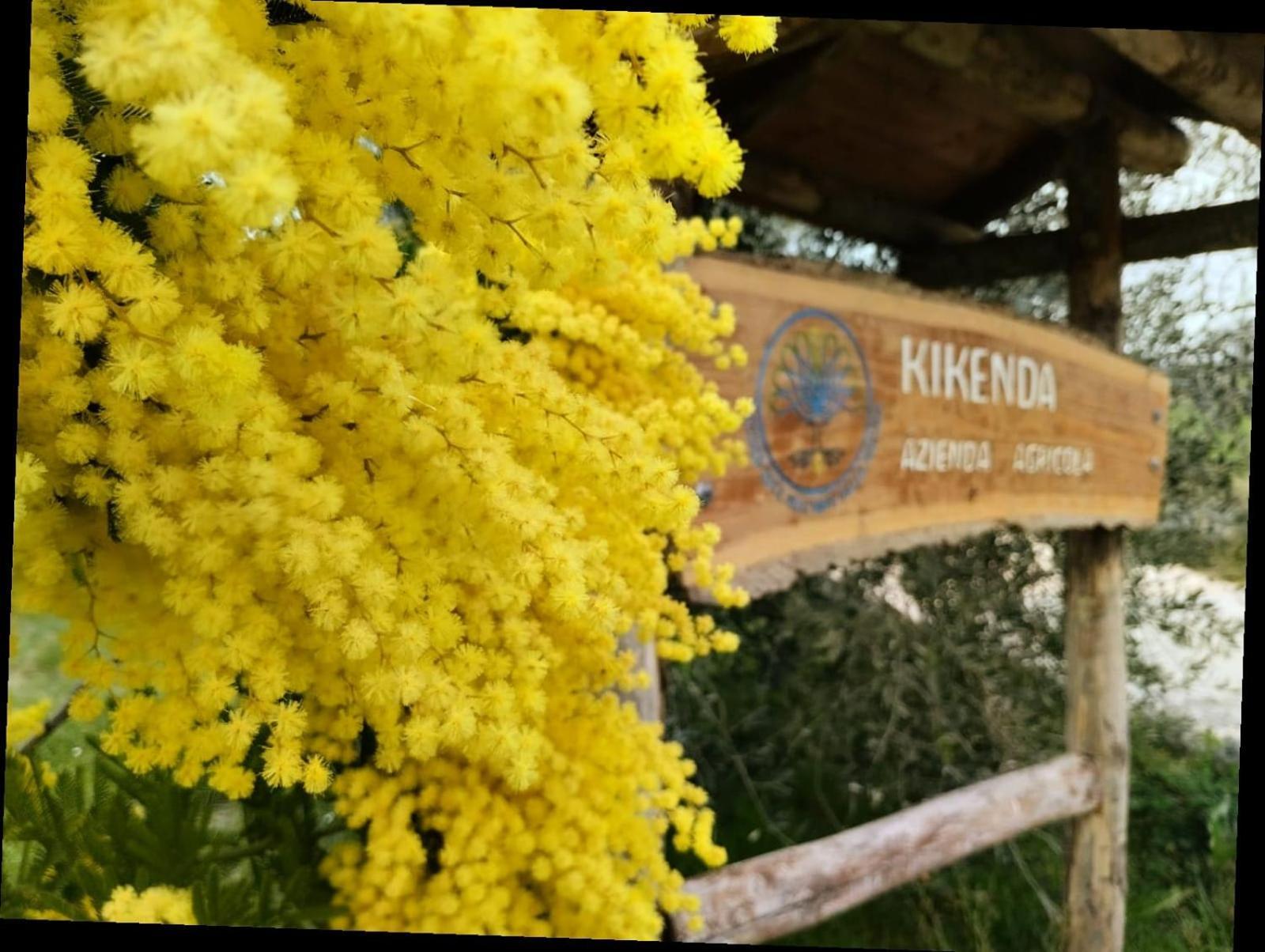 Casa Kikenda, Viaggio Nella Natura Treia Zewnętrze zdjęcie
