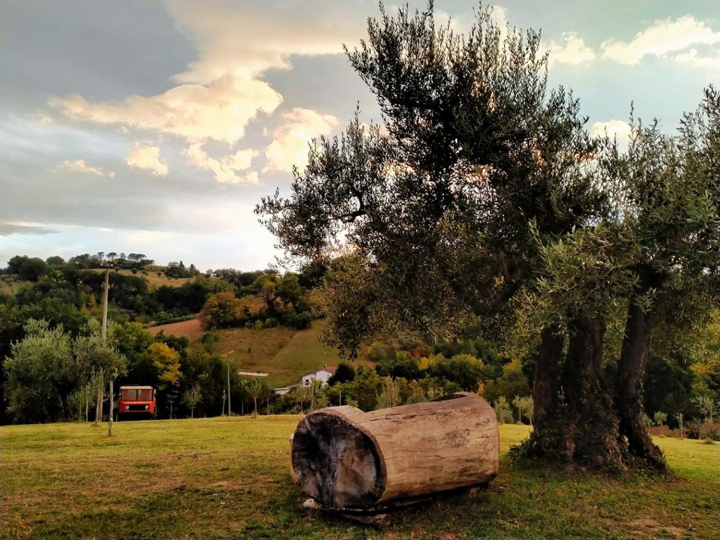 Casa Kikenda, Viaggio Nella Natura Treia Zewnętrze zdjęcie
